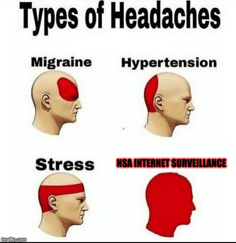When NSA Watches People's Internet Activities | NSA INTERNET SURVEILLANCE | image tagged in types of headaches meme,memes,nsa,internet,surveillance | made w/ Imgflip meme maker