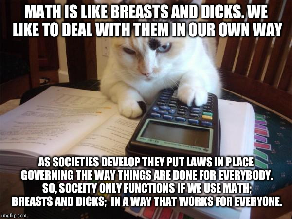 Math cat | MATH IS LIKE BREASTS AND DICKS. WE LIKE TO DEAL WITH THEM IN OUR OWN WAY; AS SOCIETIES DEVELOP THEY PUT LAWS IN PLACE GOVERNING THE WAY THINGS ARE DONE FOR EVERYBODY. SO, SOCEITY ONLY FUNCTIONS IF WE USE MATH; BREASTS AND DICKS;  IN A WAY THAT WORKS FOR EVERYONE. | image tagged in math cat | made w/ Imgflip meme maker