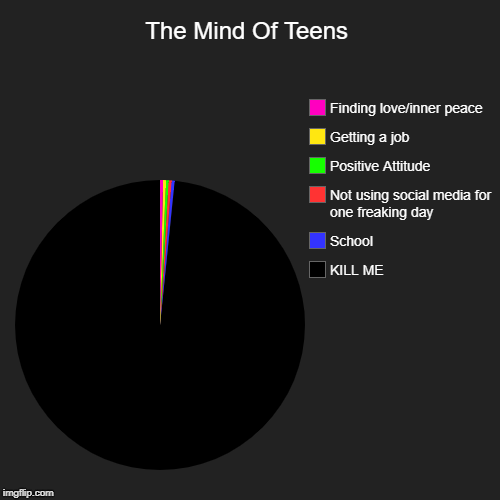 The Mind Of Teens | KILL ME, School , Not using social media for one freaking day, Positive Attitude, Getting a job, Finding love/inner peac | image tagged in funny,pie charts | made w/ Imgflip chart maker