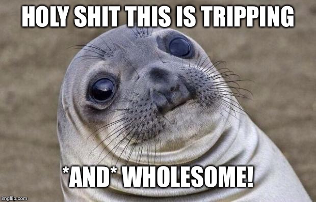 Awkward Moment Sealion Meme | HOLY SHIT THIS IS TRIPPING *AND* WHOLESOME! | image tagged in memes,awkward moment sealion | made w/ Imgflip meme maker
