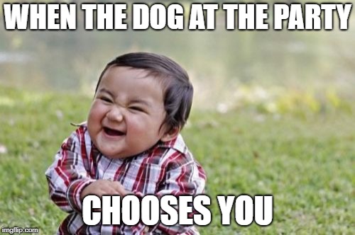 Evil Toddler Meme | WHEN THE DOG AT THE PARTY; CHOOSES YOU | image tagged in memes,evil toddler | made w/ Imgflip meme maker