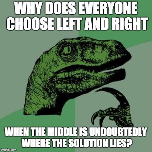 Philosoraptor Meme | WHY DOES EVERYONE CHOOSE LEFT AND RIGHT WHEN THE MIDDLE IS UNDOUBTEDLY WHERE THE SOLUTION LIES? | image tagged in memes,philosoraptor | made w/ Imgflip meme maker