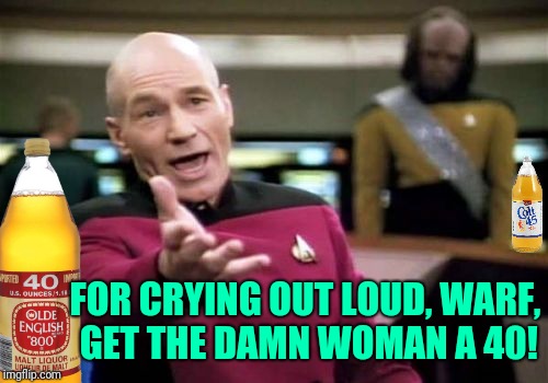 Picard Wtf Meme | FOR CRYING OUT LOUD, WARF, GET THE DAMN WOMAN A 40! | image tagged in memes,picard wtf | made w/ Imgflip meme maker