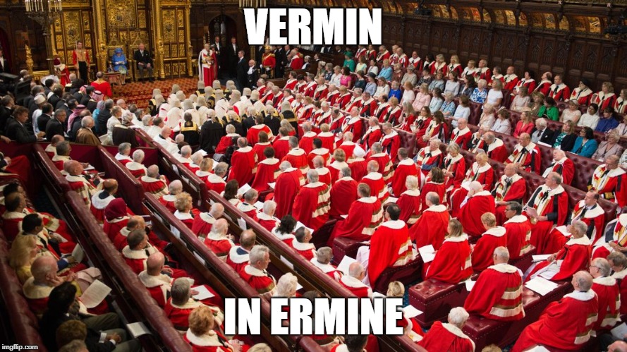 VERMIN; IN ERMINE | image tagged in parliament | made w/ Imgflip meme maker