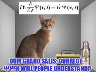 CUM GRANO SALIS: CORRECT. 
WHEN WILL PEOPLE UNDERSTAND? | made w/ Imgflip meme maker