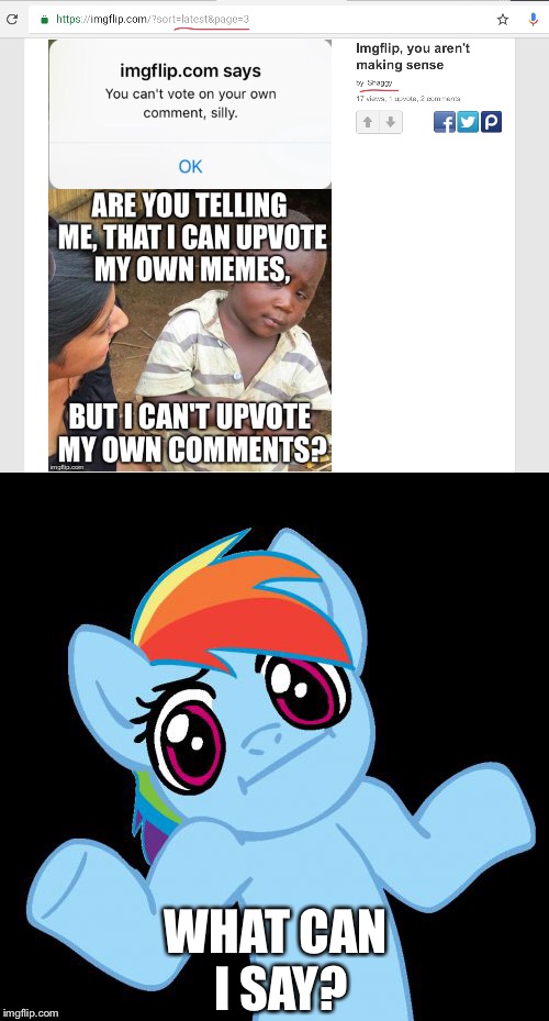 Meh... | WHAT CAN I SAY? | image tagged in memes,pony shrugs,whatever,tags,idk,anything | made w/ Imgflip meme maker
