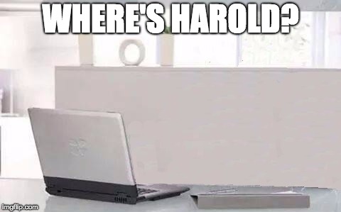 "Where's Waldo?" Sequel | WHERE'S HAROLD? | image tagged in hide the pain harold blank,memes | made w/ Imgflip meme maker