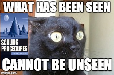 What has been seen cat | WHAT HAS BEEN SEEN; CANNOT BE UNSEEN | image tagged in what has been seen cat | made w/ Imgflip meme maker