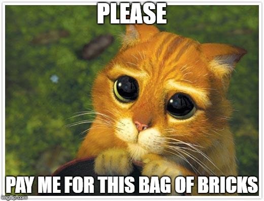 Shrek Cat Meme | PLEASE; PAY ME FOR THIS BAG OF BRICKS | image tagged in memes,shrek cat | made w/ Imgflip meme maker