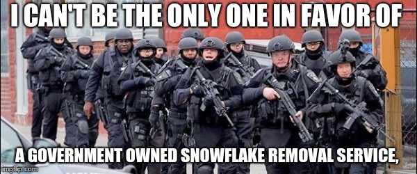 Anti gun  | I CAN'T BE THE ONLY ONE IN FAVOR OF; A GOVERNMENT OWNED SNOWFLAKE REMOVAL SERVICE, | image tagged in anti gun | made w/ Imgflip meme maker