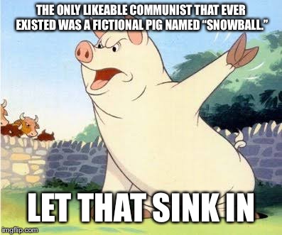 Snowball Animal Farm | THE ONLY LIKEABLE COMMUNIST THAT EVER EXISTED WAS A FICTIONAL PIG NAMED “SNOWBALL.”; LET THAT SINK IN | image tagged in snowball animal farm | made w/ Imgflip meme maker