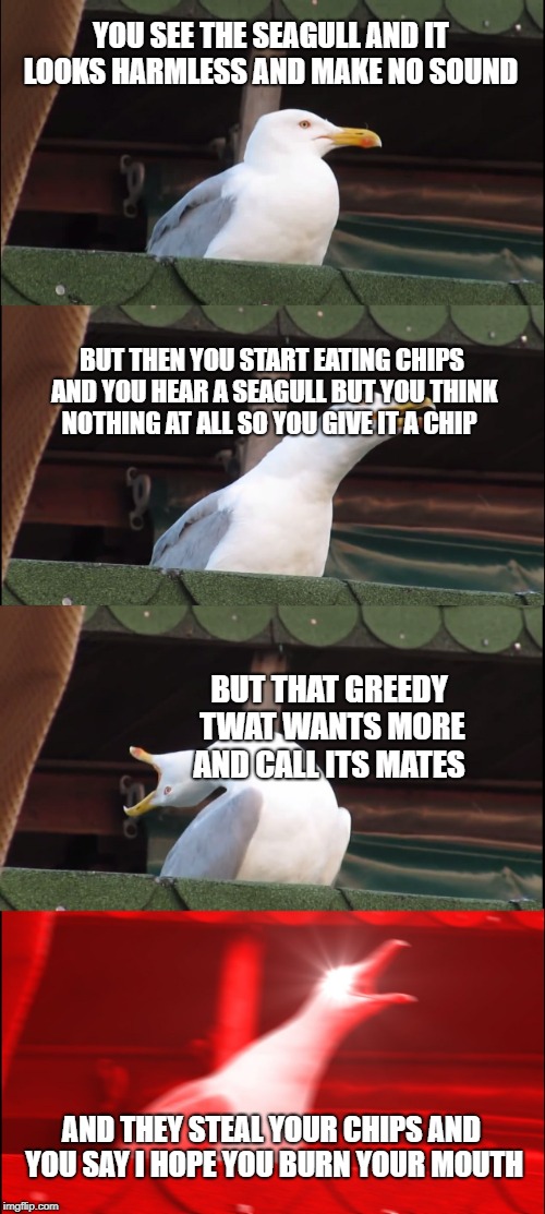 Inhaling Seagull Meme | YOU SEE THE SEAGULL AND IT LOOKS HARMLESS
AND MAKE NO SOUND; BUT THEN YOU START EATING CHIPS AND YOU HEAR
A SEAGULL BUT YOU THINK NOTHING AT ALL SO YOU GIVE IT A CHIP; BUT THAT GREEDY TWAT WANTS MORE AND CALL ITS MATES; AND THEY STEAL YOUR CHIPS AND YOU SAY I HOPE YOU BURN YOUR MOUTH | image tagged in memes,inhaling seagull | made w/ Imgflip meme maker