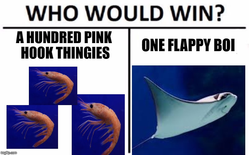 When you spend 5 days in Tampa | A HUNDRED PINK HOOK THINGIES; ONE FLAPPY BOI | image tagged in memes,who would win,stingray,shrimp,ocean,tampa florida | made w/ Imgflip meme maker