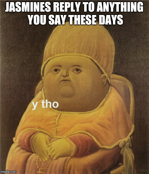 y tho | JASMINES REPLY TO ANYTHING YOU SAY THESE DAYS | image tagged in y tho | made w/ Imgflip meme maker