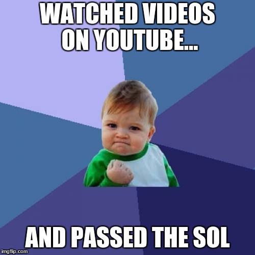 Success Kid Meme | WATCHED VIDEOS ON YOUTUBE... AND PASSED THE SOL | image tagged in memes,success kid | made w/ Imgflip meme maker