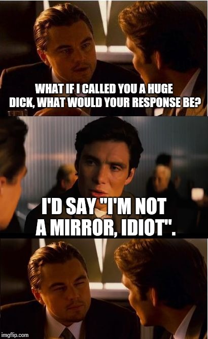 Inception Meme | WHAT IF I CALLED YOU A HUGE DICK, WHAT WOULD YOUR RESPONSE BE? I'D SAY "I'M NOT A MIRROR, IDIOT". | image tagged in memes,inception | made w/ Imgflip meme maker