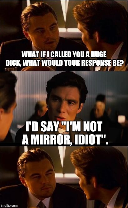 Inception | WHAT IF I CALLED YOU A HUGE DICK, WHAT WOULD YOUR RESPONSE BE? I'D SAY "I'M NOT A MIRROR, IDIOT". | image tagged in memes,inception | made w/ Imgflip meme maker