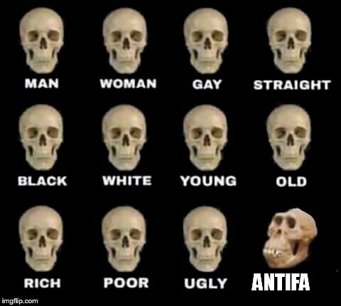 more truths to be told | ANTIFA | image tagged in idiot skull | made w/ Imgflip meme maker