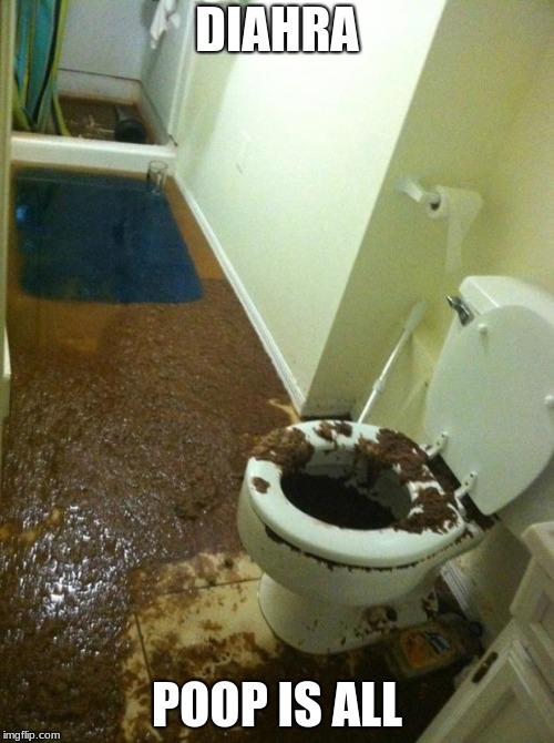 poop | DIAHRA; POOP IS ALL | image tagged in poop | made w/ Imgflip meme maker