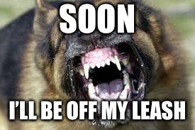 Angry Dog | SOON; I’LL BE OFF MY LEASH | image tagged in angry dog | made w/ Imgflip meme maker