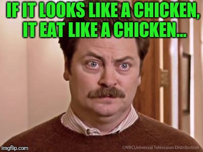 IF IT LOOKS LIKE A CHICKEN, IT EAT LIKE A CHICKEN... | made w/ Imgflip meme maker