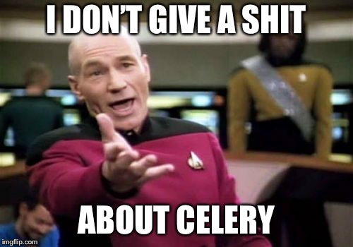 Picard Wtf | I DON’T GIVE A SHIT; ABOUT CELERY | image tagged in memes,picard wtf | made w/ Imgflip meme maker