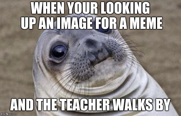 I probably have a very sketchy search history | WHEN YOUR LOOKING UP AN IMAGE FOR A MEME; AND THE TEACHER WALKS BY | image tagged in memes,awkward moment sealion,memes about memeing,school | made w/ Imgflip meme maker