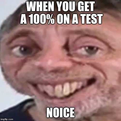 Acing a test | WHEN YOU GET A 100% ON A TEST; NOICE | image tagged in noice,memes,100,school | made w/ Imgflip meme maker