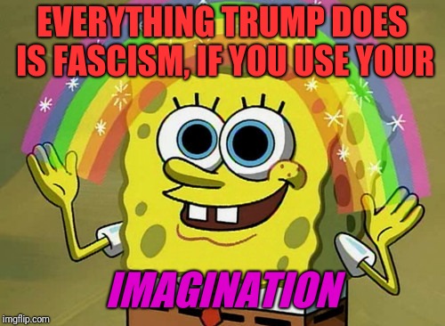 Imagination Spongebob Meme | EVERYTHING TRUMP DOES IS FASCISM, IF YOU USE YOUR; IMAGINATION | image tagged in memes,imagination spongebob | made w/ Imgflip meme maker
