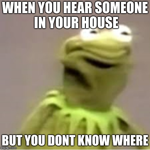 Kirmit Fortnite | WHEN YOU HEAR SOMEONE IN YOUR HOUSE; BUT YOU DONT KNOW WHERE | image tagged in fortnite | made w/ Imgflip meme maker