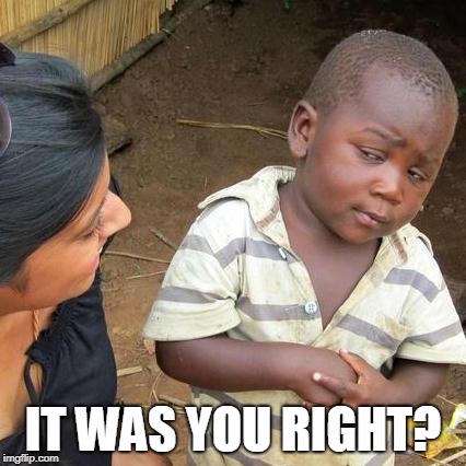 Third World Skeptical Kid Meme | IT WAS YOU RIGHT? | image tagged in memes,third world skeptical kid | made w/ Imgflip meme maker