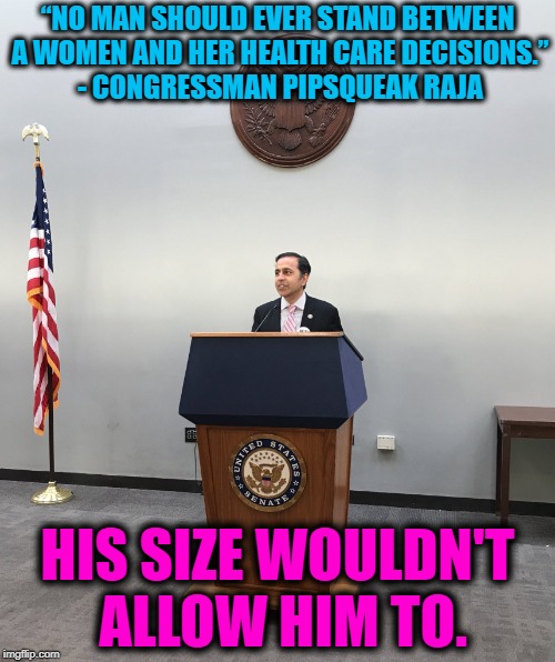 It's not about "women's health care decisions". It's about an attempt at eliminating the consequences of the truth abortion is | “NO MAN SHOULD EVER STAND BETWEEN A WOMEN AND HER HEALTH CARE DECISIONS.” - CONGRESSMAN PIPSQUEAK RAJA; HIS SIZE WOULDN'T ALLOW HIM TO. | image tagged in murder,abortion is murder,politics,political meme | made w/ Imgflip meme maker