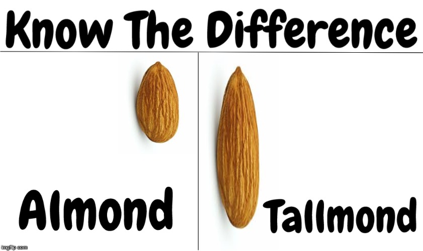 Tallmond | image tagged in know the difference | made w/ Imgflip meme maker