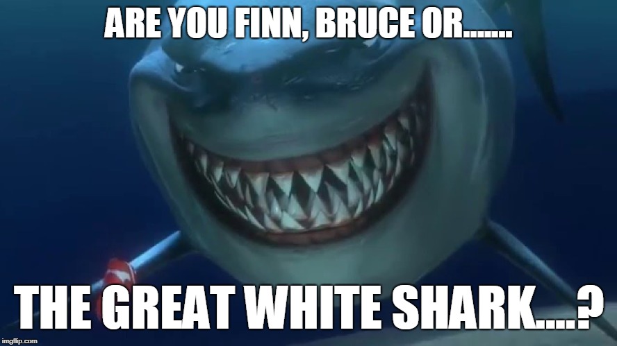 ARE YOU FINN, BRUCE OR....... THE GREAT WHITE SHARK....? | made w/ Imgflip meme maker
