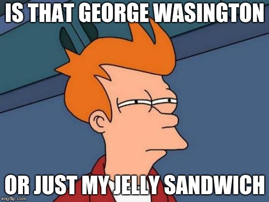 Futurama Fry Meme | IS THAT GEORGE WASINGTON; OR JUST MY JELLY SANDWICH | image tagged in memes,futurama fry | made w/ Imgflip meme maker