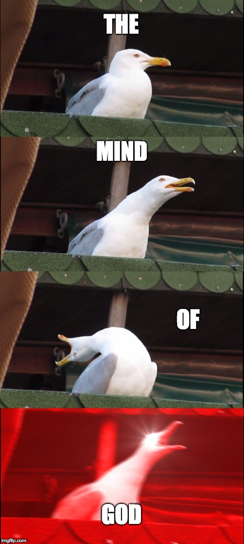 Inhaling Seagull Meme | THE; MIND; OF; GOD | image tagged in memes,inhaling seagull | made w/ Imgflip meme maker
