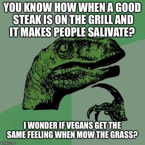 Philosoraptor | YOU KNOW HOW WHEN A GOOD STEAK IS ON THE GRILL AND IT MAKES PEOPLE SALIVATE? I WONDER IF VEGANS GET THE SAME FEELING WHEN MOW THE GRASS? | image tagged in memes,philosoraptor | made w/ Imgflip meme maker