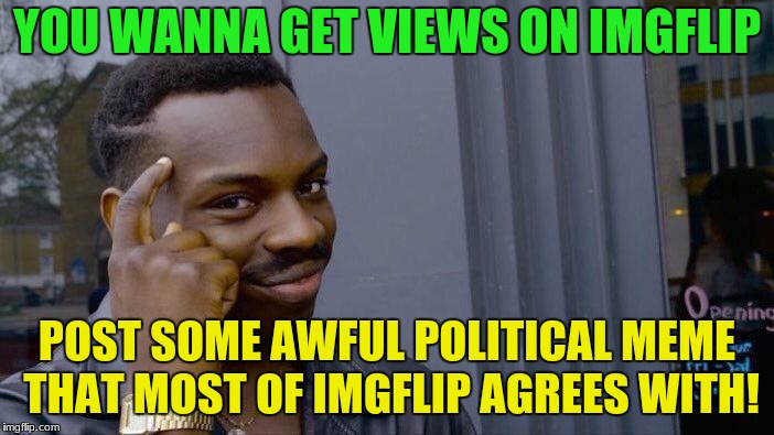 Roll Safe Think About It Meme | YOU WANNA GET VIEWS ON IMGFLIP; POST SOME AWFUL POLITICAL MEME THAT MOST OF IMGFLIP AGREES WITH! | image tagged in memes,roll safe think about it | made w/ Imgflip meme maker