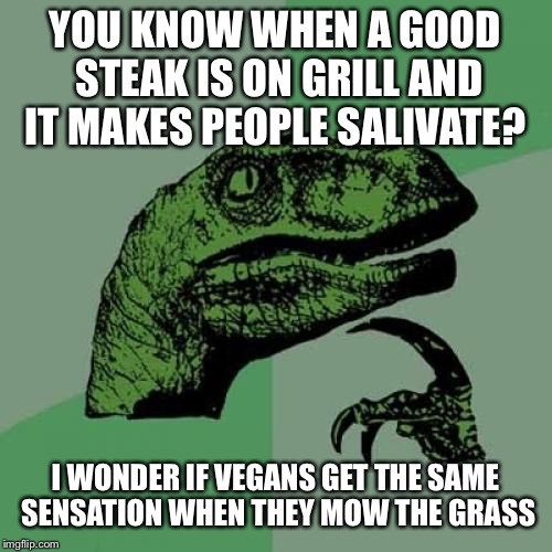 Philosoraptor Meme | YOU KNOW WHEN A GOOD STEAK IS ON GRILL AND IT MAKES PEOPLE SALIVATE? I WONDER IF VEGANS GET THE SAME SENSATION WHEN THEY MOW THE GRASS | image tagged in memes,philosoraptor | made w/ Imgflip meme maker