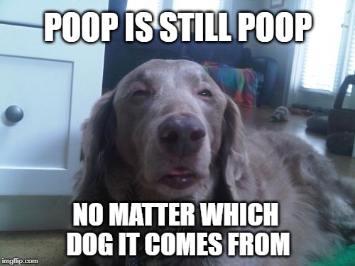 POOP IS STILL POOP; NO MATTER WHICH DOG IT COMES FROM | image tagged in poop,dog poop,politics,corruption,smelly,bad smell | made w/ Imgflip meme maker