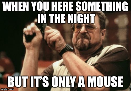 Am I The Only One Around Here | WHEN YOU HERE SOMETHING IN THE NIGHT; BUT IT’S ONLY A MOUSE | image tagged in memes,am i the only one around here | made w/ Imgflip meme maker