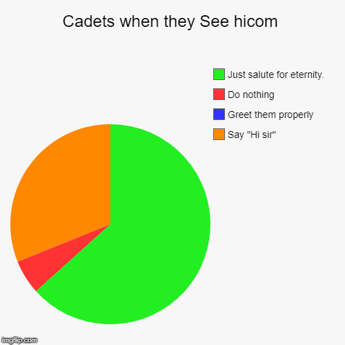 Cadets when they See hicom | Say "Hi sir", Greet them properly, Do nothing, Just salute for eternity. | image tagged in funny,pie charts | made w/ Imgflip chart maker