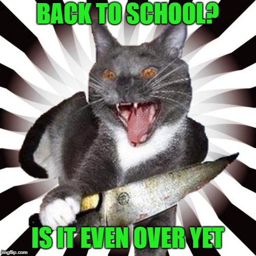 BACK TO SCHOOL? IS IT EVEN OVER YET | made w/ Imgflip meme maker