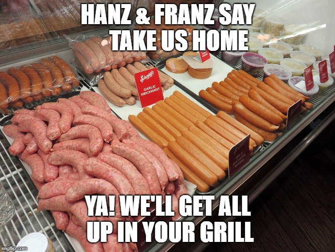 HANZ & FRANZ SAY     TAKE US HOME; YA! WE'LL GET ALL UP IN YOUR GRILL | image tagged in wurst | made w/ Imgflip meme maker