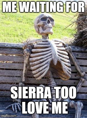 Waiting Skeleton | ME WAITING FOR; SIERRA TOO LOVE ME | image tagged in memes,waiting skeleton | made w/ Imgflip meme maker
