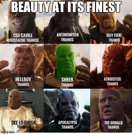 BEAUTY AT ITS FINEST | image tagged in thanos,memes,avengers infinity war | made w/ Imgflip meme maker