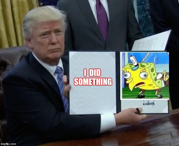 Trump Bill Signing Meme | I  DID SOMETHING | image tagged in memes,trump bill signing,donald trump | made w/ Imgflip meme maker