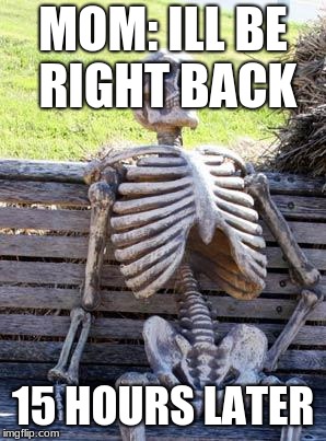 Waiting Skeleton Meme | MOM: ILL BE RIGHT BACK; 15 HOURS LATER | image tagged in memes,waiting skeleton | made w/ Imgflip meme maker