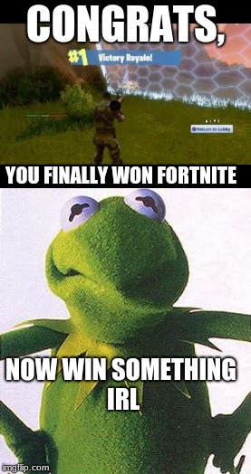 Fortnite Isn't Everything... | CONGRATS, YOU FINALLY WON FORTNITE; NOW WIN SOMETHING IRL | image tagged in kermit the frog,fortnite,dub,fortnite win,irl | made w/ Imgflip meme maker