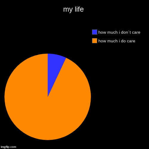 my life | how much i do care, how much i don´t care | image tagged in funny,pie charts | made w/ Imgflip chart maker
